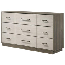 Load image into Gallery viewer, Fenwick - 9-Drawer Dresser