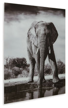 Load image into Gallery viewer, Glinyard - Black / White - Wall Art