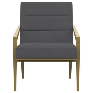 Kirra - Upholstered Metal Arm Accent Chair