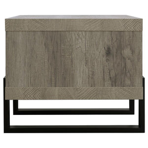 Dinard - Engineered Wood Coffee Table - Gray Driftwood