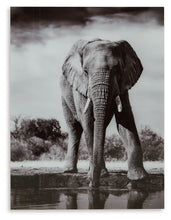 Load image into Gallery viewer, Glinyard - Black / White - Wall Art