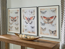 Load image into Gallery viewer, Jossletts - Orange / Black / Ivory - Wall Art Set (Set of 3)