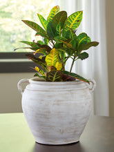 Load image into Gallery viewer, Meadie - 9&quot; Vase