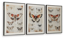 Load image into Gallery viewer, Jossletts - Orange / Black / Ivory - Wall Art Set (Set of 3)