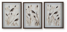 Load image into Gallery viewer, Honslow - Brown / Black / White - Wall Art Set (Set of 3)