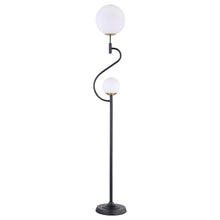 Load image into Gallery viewer, Dacki - Dual Spherical Bulb Metal Floor Lamp - Black