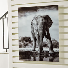 Load image into Gallery viewer, Glinyard - Black / White - Wall Art