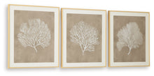 Load image into Gallery viewer, Hendridge - Taupe / White - Wall Art Set (Set of 3)