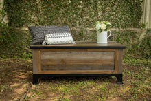 Load image into Gallery viewer, Antique Gray - Trunk - Gray / Brown