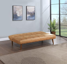 Load image into Gallery viewer, Jenson - Upholstered Tufted Convertible Sofa Bed