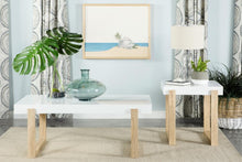 Load image into Gallery viewer, Pala - Coffee Table Set