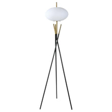 Load image into Gallery viewer, Layton - White Orb Shade Tripod Floor Lamp - Black