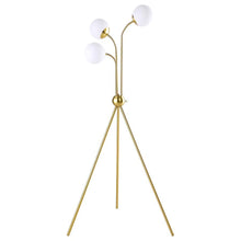 Load image into Gallery viewer, Miley - Spherical Bulb Tripod Tree Floor Lamp - Gold