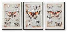 Load image into Gallery viewer, Jossletts - Orange / Black / Ivory - Wall Art Set (Set of 3)