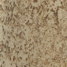 Load image into Gallery viewer, Plawite - Vase