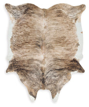 Load image into Gallery viewer, Sportsmen - Brown - Medium Rug