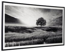 Load image into Gallery viewer, Deborland - Black / White - Wall Art