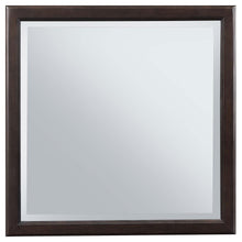 Load image into Gallery viewer, Emberlyn - Dresser Mirror - Brown