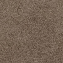 Load image into Gallery viewer, Navi - Fossil - Oversized Accent Ottoman