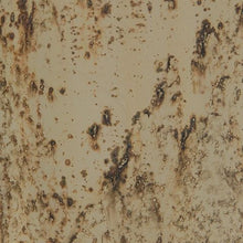 Load image into Gallery viewer, Plawite - Vase