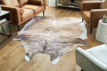 Load image into Gallery viewer, Sportsmen - Brown - Medium Rug